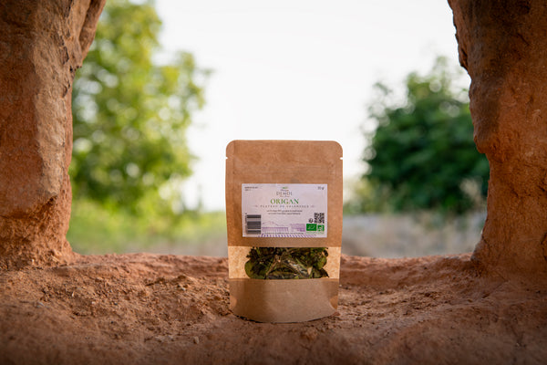 Sachet kraft de 20 g d'origan BIO du plateau de Valensole, posé dans une niche de pierre