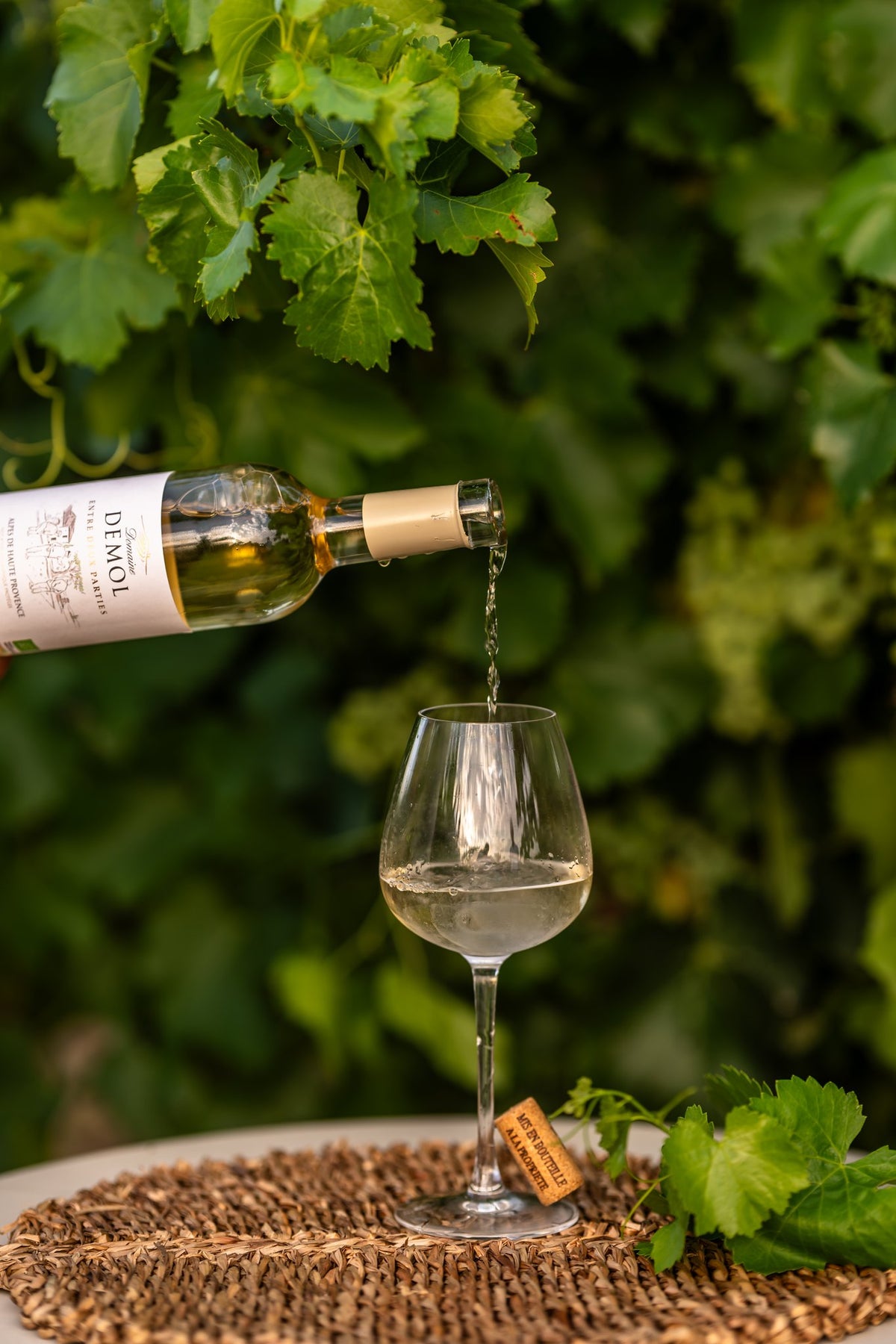 Vin blanc IGP Alpes de Haute-Provence versé dans un verre, au cœur des vignes du Domaine Demol
