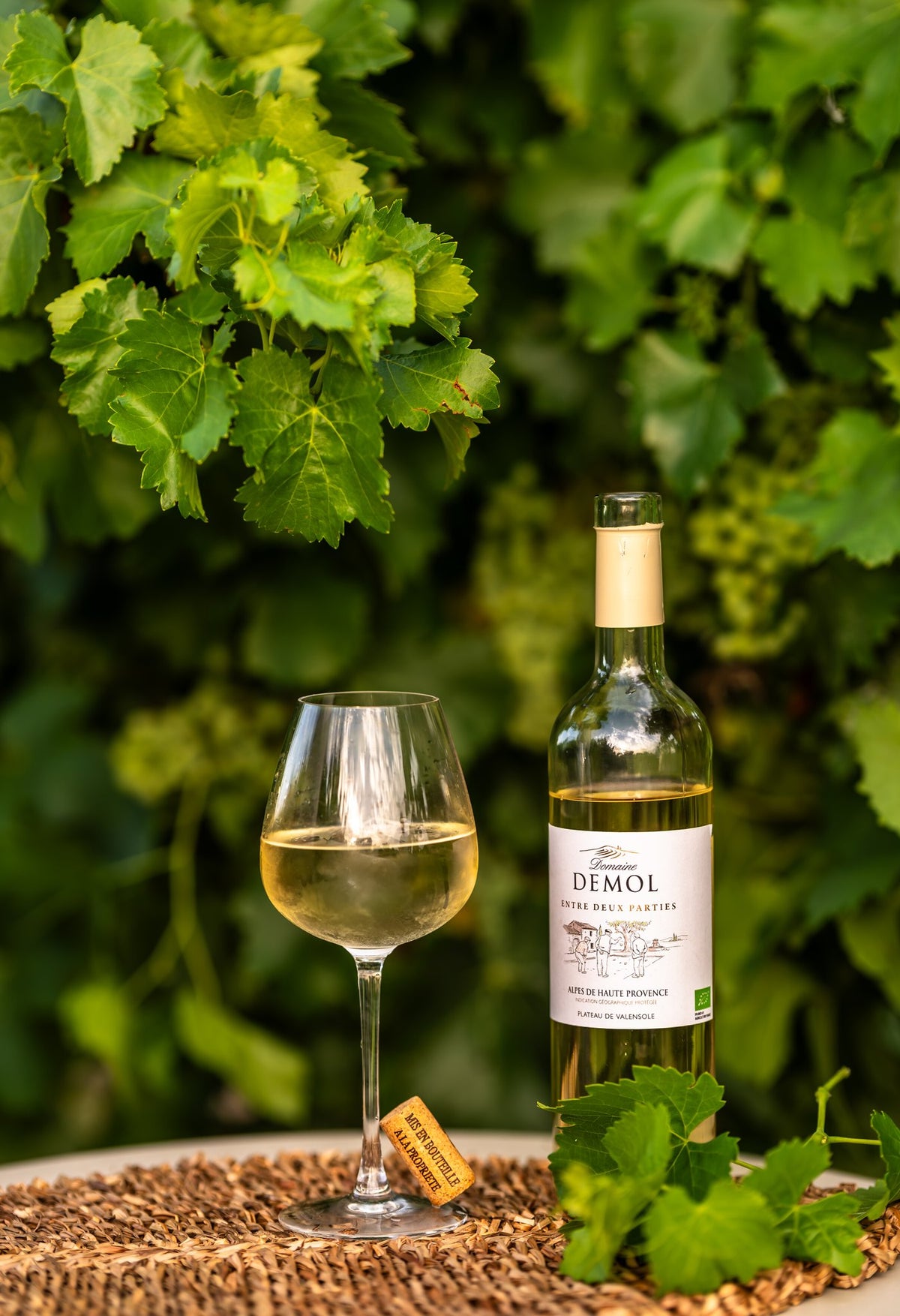 Bouteille de vin blanc BIO du Domaine Demol et son verre, sous les feuilles de vigne du domaine