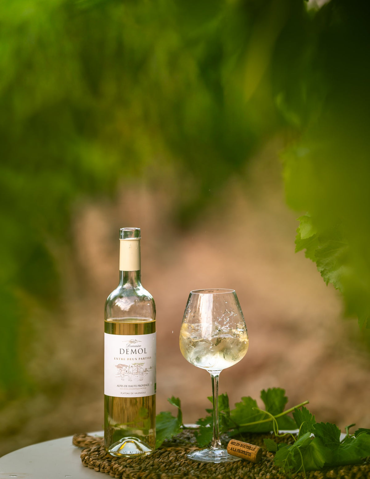 Vin blanc IGP Alpes de Haute-Provence du Domaine Demol, servi au verre dans les vignes