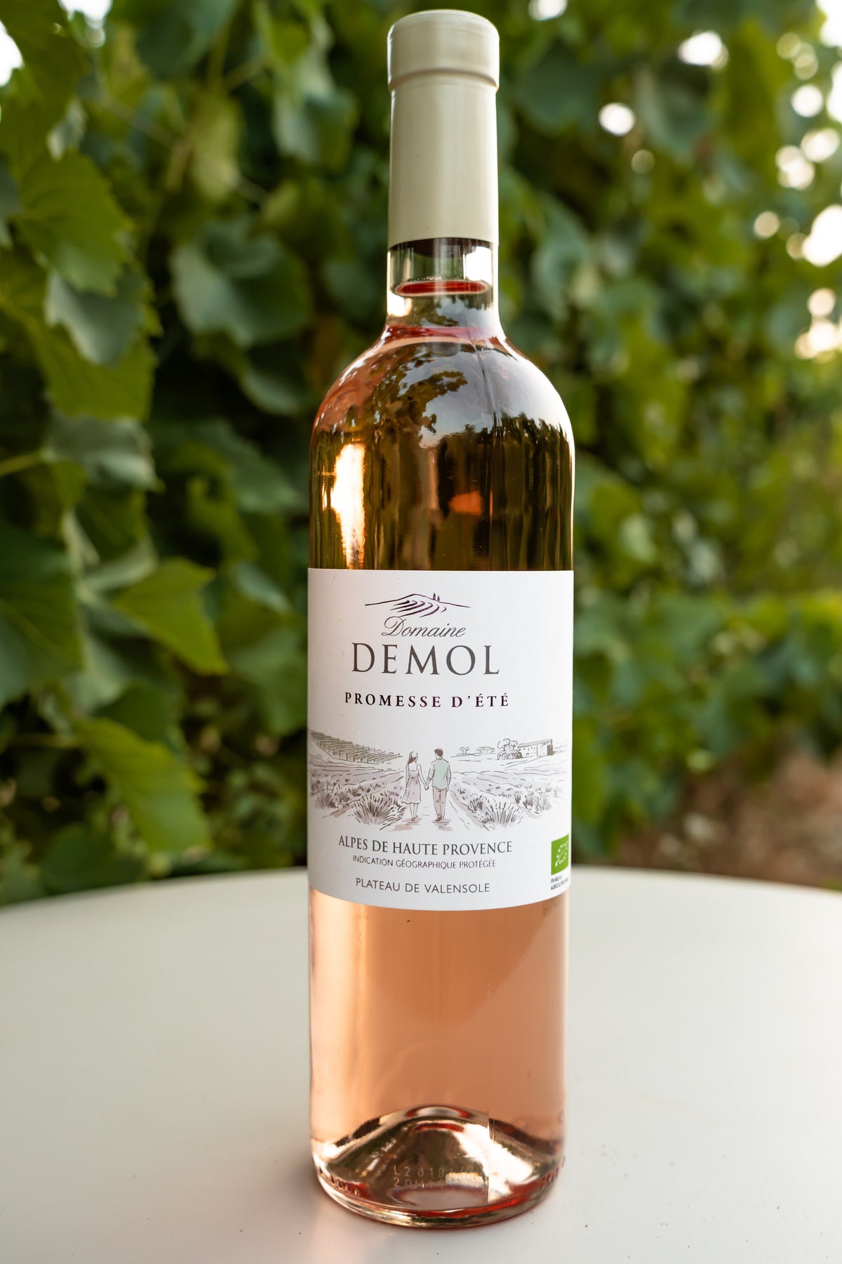 Bouteille de rosé Promesse d'été du Domaine Demol, étiquette de face, devant un feuillage de vigne