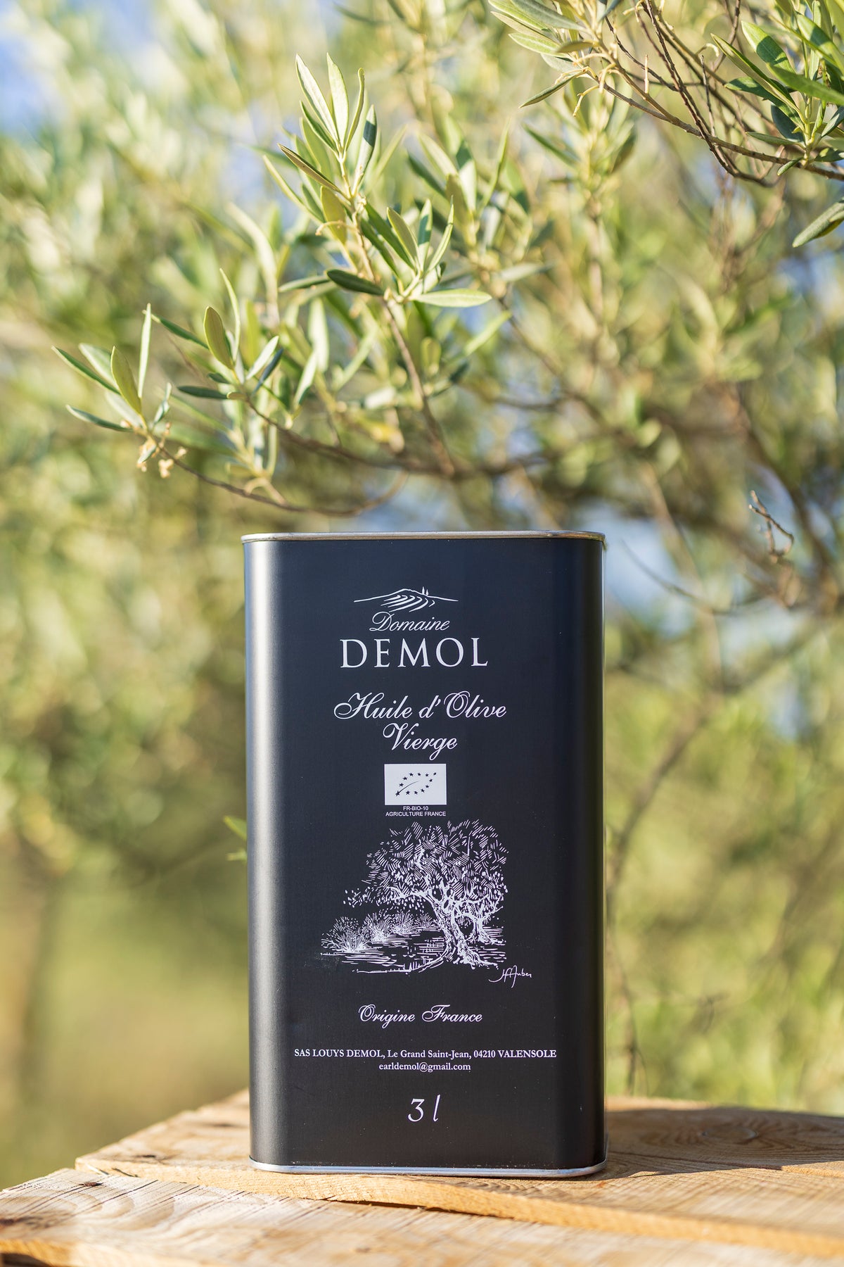 Bidon de 3 l d'huile d'olive vierge Domaine Demol posé sous les branches d'un olivier de Valensole