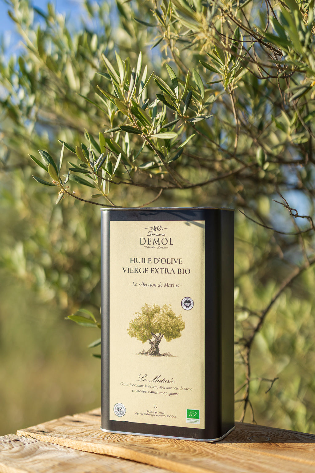 Bidon de 3 l d'huile d'olive maturée BIO sous les branches d'un olivier