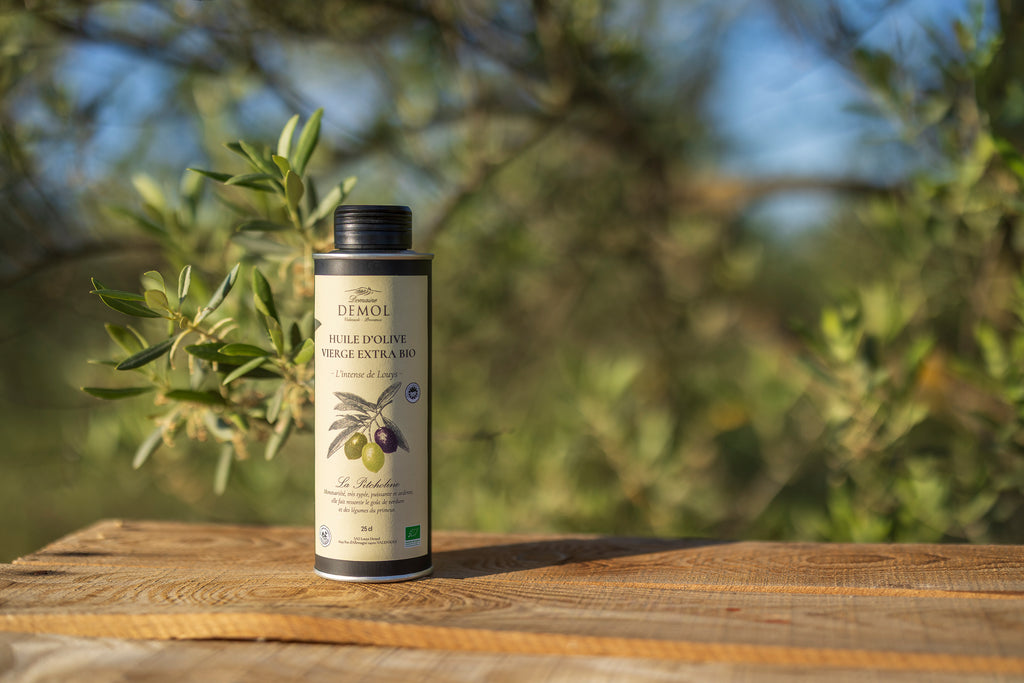 Bouteille de 25 cl d'huile d'olive 100 % Picholine BIO du Domaine Demol devant un olivier