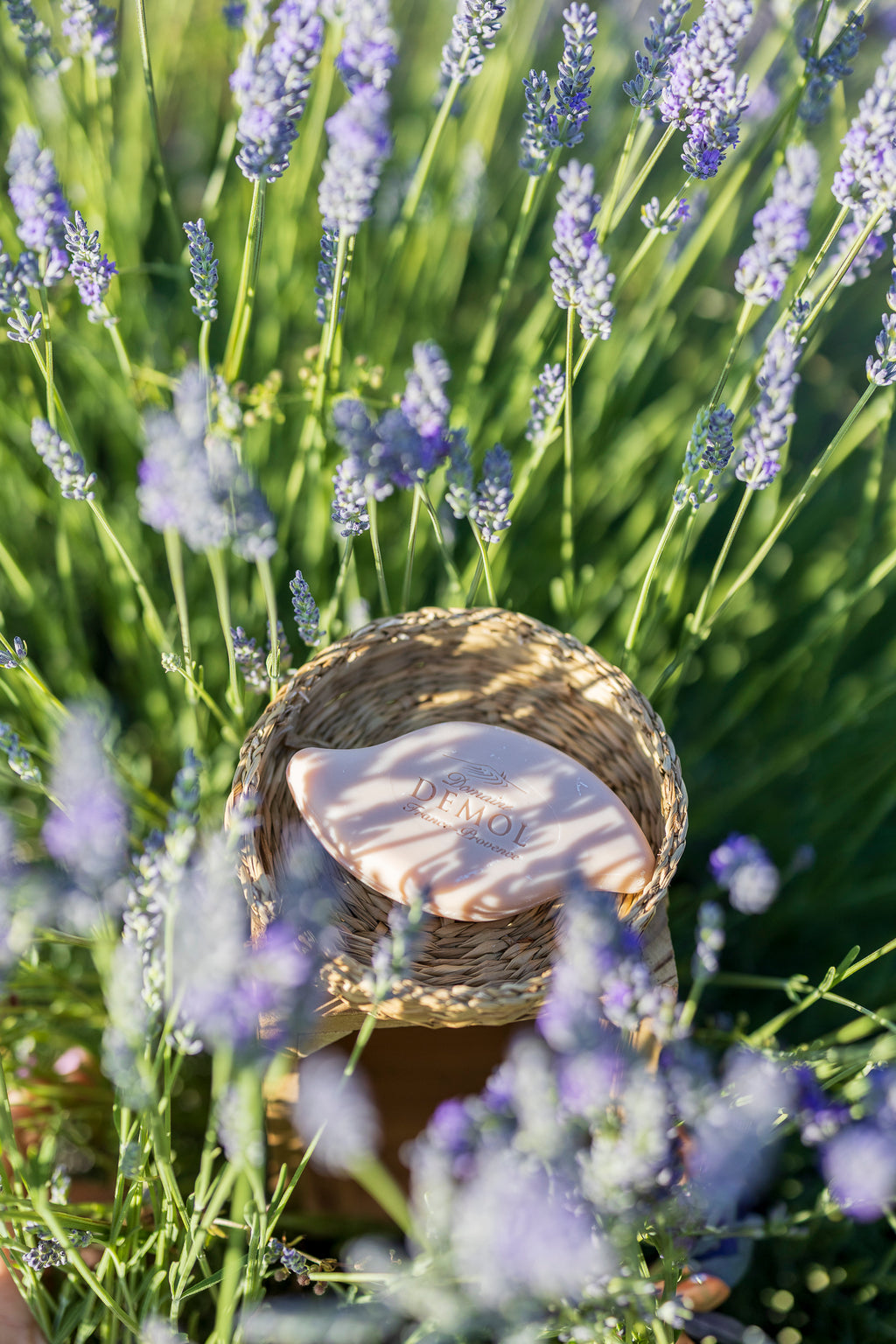 Savon Domaine Demol dans un petit panier en osier, au milieu des lavandes en fleurs