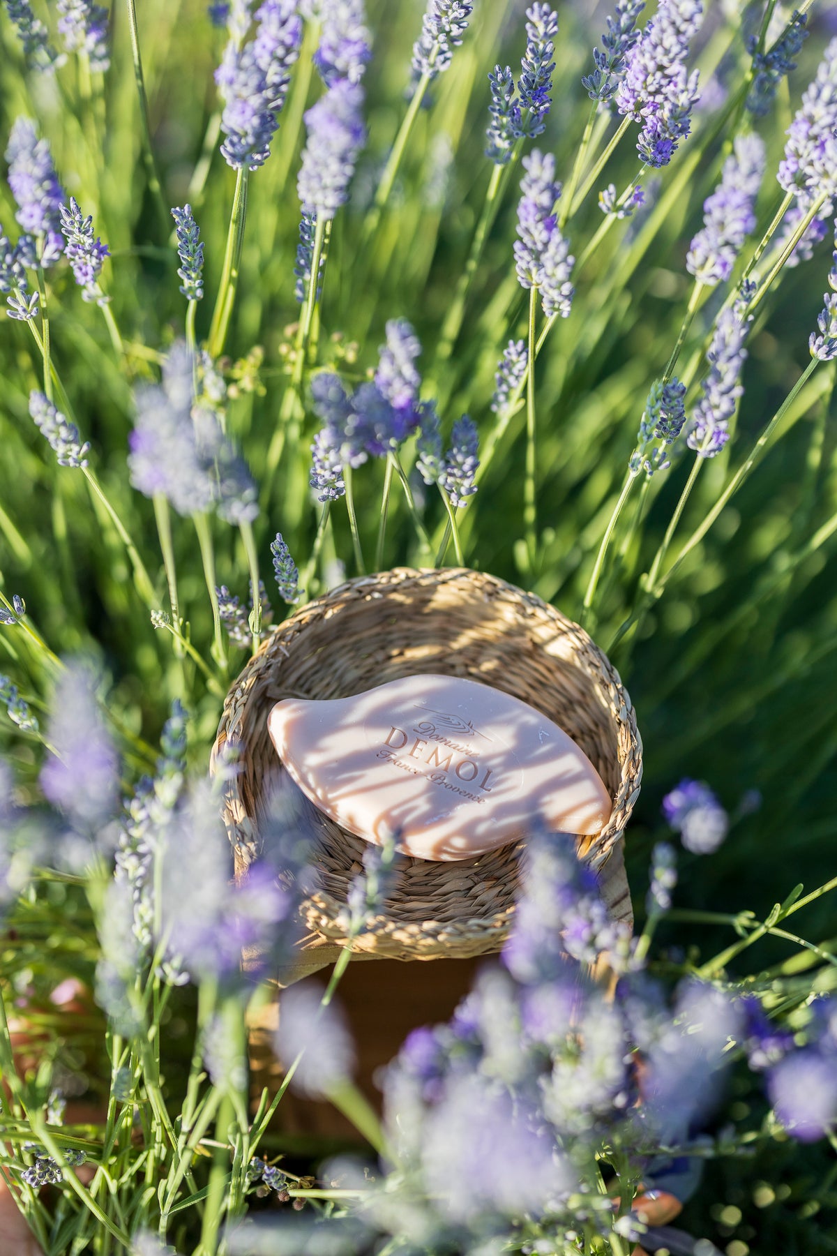 Savon Domaine Demol dans un petit panier en osier, au milieu des lavandes en fleurs