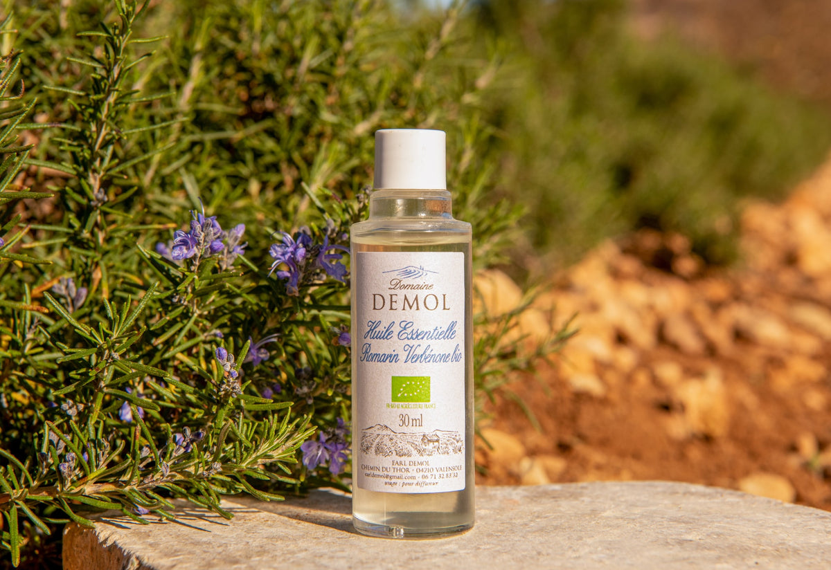 Huile essentielle de romarin à verbénone BIO 30 ml du Domaine Demol, devant un pied de romarin