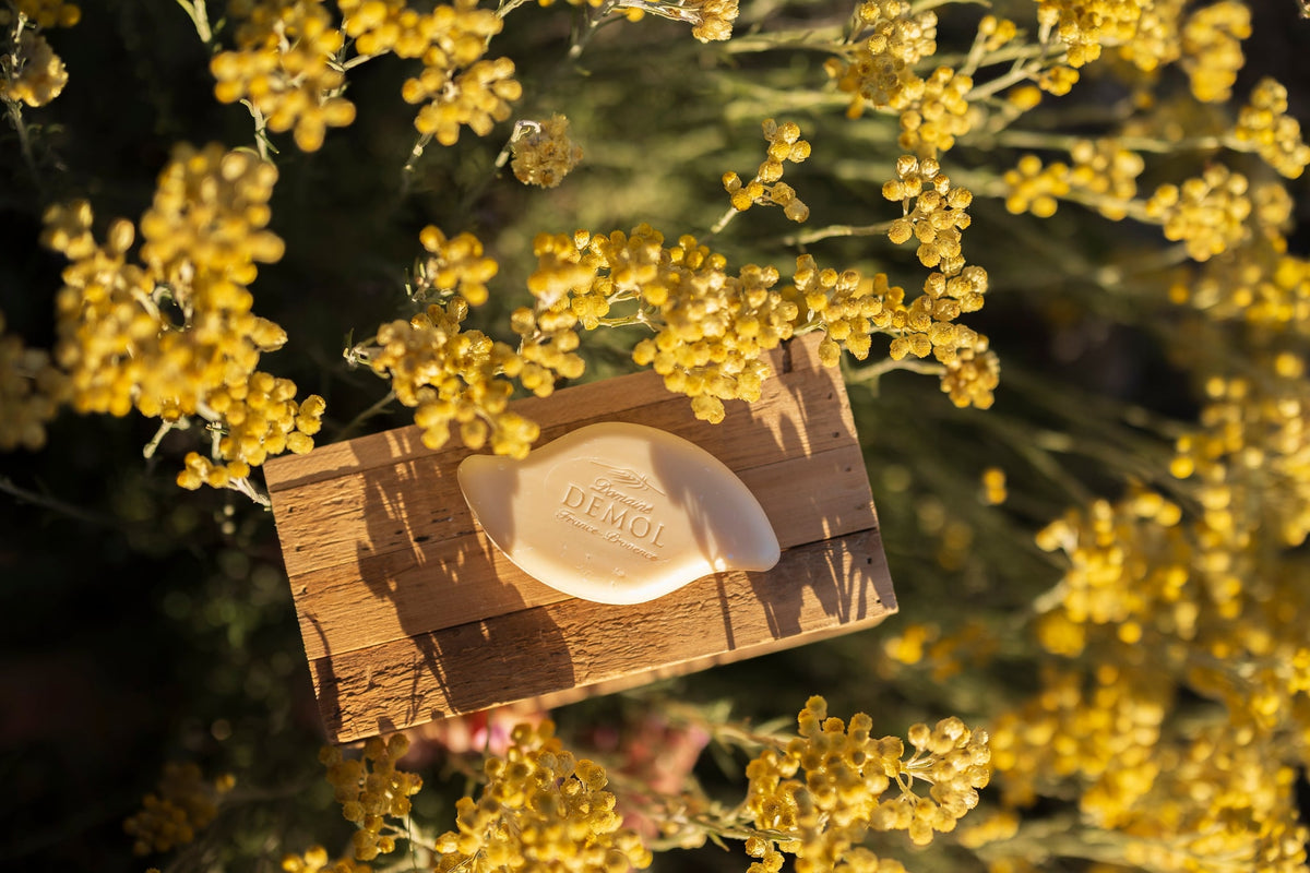 Savon à l'huile essentielle d'immortelle du Domaine Demol sur une planche, parmi les fleurs d'immortelle